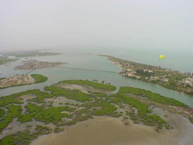 003 - Sine Salum (Ile aux Coquillages + Palmarin)