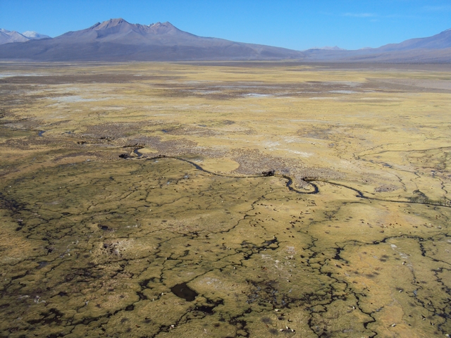 568 - Volcan Sajama (6.542 m)