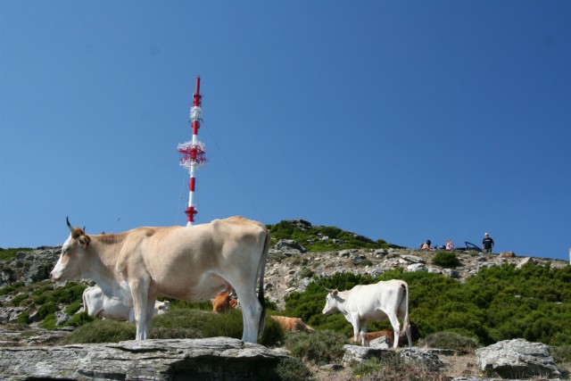 301 - Col de Teghime