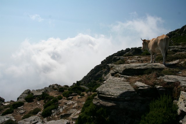 303 - Col de Teghime