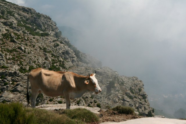 304 - Col de Teghime