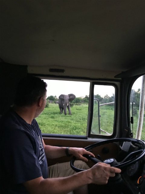 073 - Parc National de Chobe (Botswana)