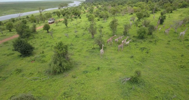 132 - Parc National de Chobe (Botswana)
