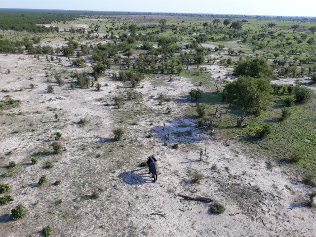 206 - Parc National de Chobe (Botswana)
