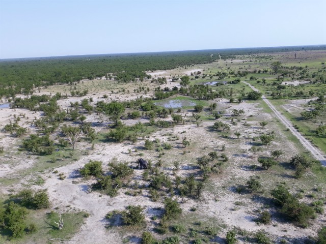 220 - Parc National de Chobe (Botswana)