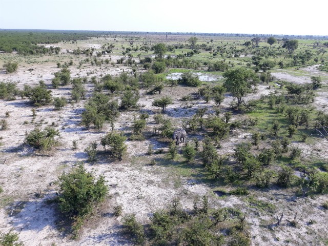 225 - Parc National de Chobe (Botswana)
