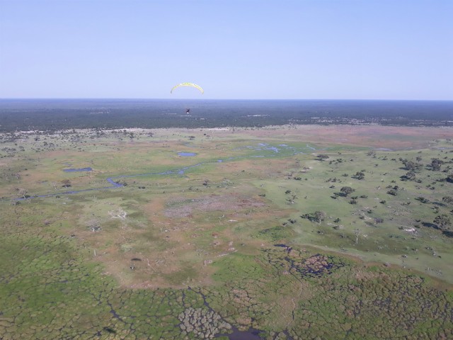 230 - Parc National de Chobe (Botswana)