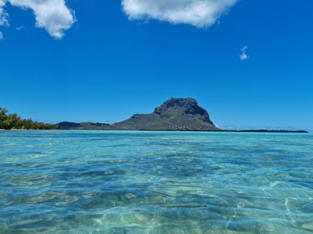 025 - Le Morne (le aux Bnitiers)