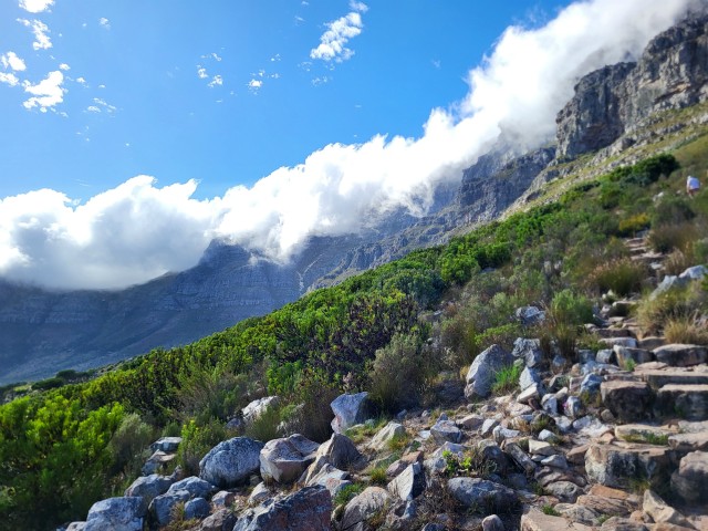 223 - Cape Town (Table Mountain)