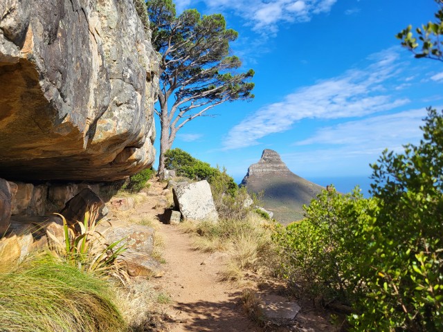 227 - Cape Town (Table Mountain)