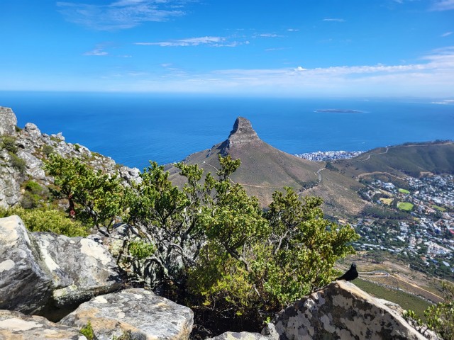 238 - Cape Town (Table Mountain)