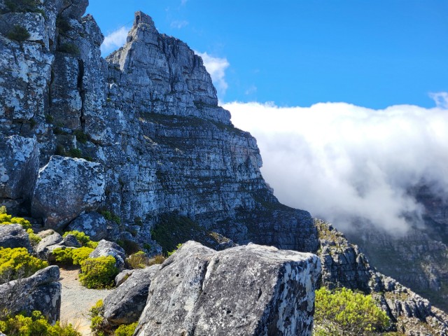 245 - Cape Town (Table Mountain)