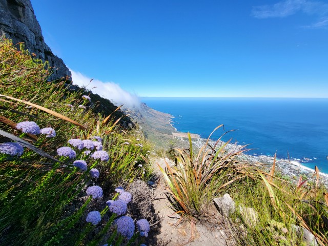 260 - Cape Town (Table Mountain)